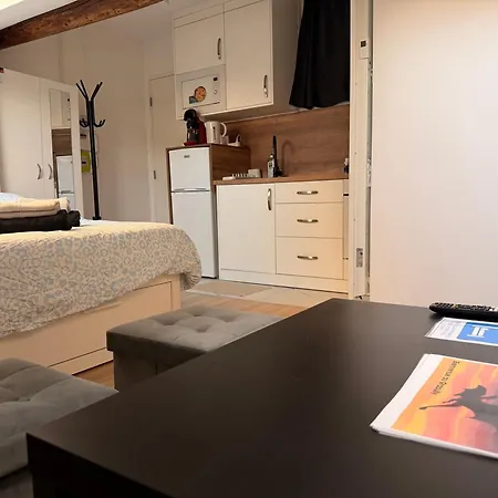 Le Graoully 2 Apartment Metz