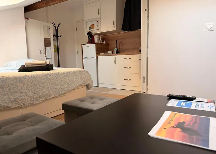 Le Graoully 2 Apartment Metz